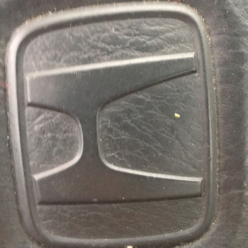 Meet your Posher, Shane